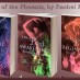 Happy Release Day!  The Last Beginning, by Rachel Firasek