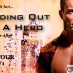 Holding Out For A Hero Blog Tour!