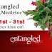 Under the Mistletoe with Dawn Chartier