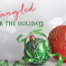 Entangled for the Holidays: All I Want For Christmas…Staff Edition