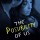 The Possibility of Us by Lisa Burstein Release Day & Blog Tour