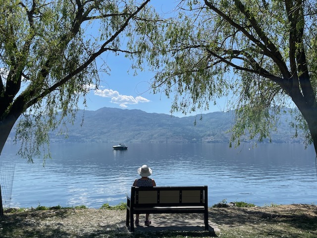 A person sat on a bench before a large lake, two trees framing the sides of the photo. On the lake is a boat, and hills are in the background.