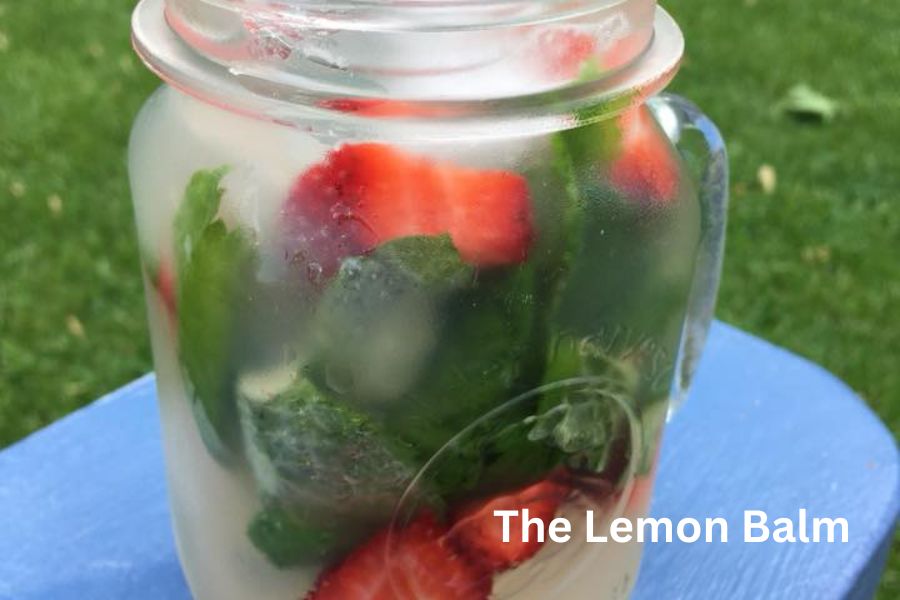 A serving pitcher with a yellow-ish liquid full of fresh cut berries and mint.